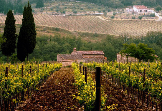 Направление на вино: Тоскана
