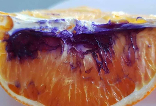 Как разрезанный апельсин стал фиолетовым