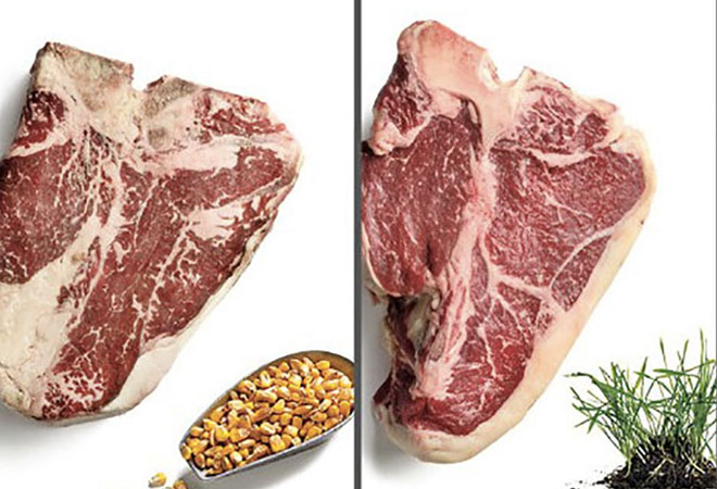 Какое мясо вкуснее: травяной и зерновой откорм