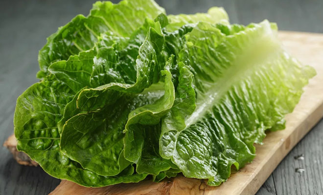 Храним салатную зелень месяц: не сохнет и не чернеет