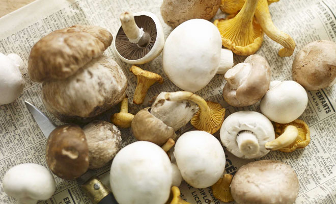 Добавляем в меню блюда из грибов. 7 рецептов, где грибы надо не только жарить