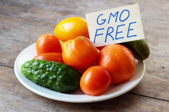 ГМО: ругательство или эволюция