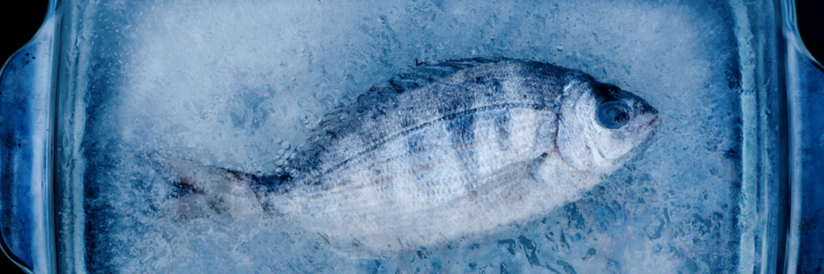 Размораживаем рыбу без микроволновки. Управляемся быстро, но она не становится водянистой