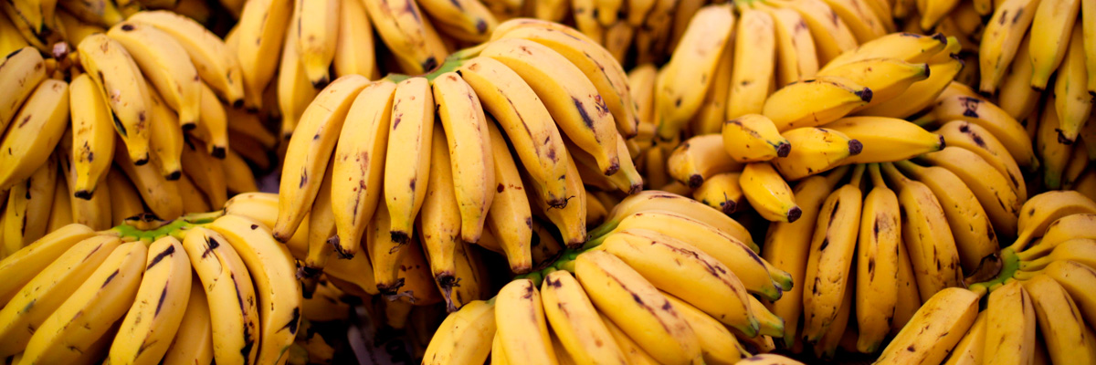 Самые неожиданные факты о самом обычном банане 
