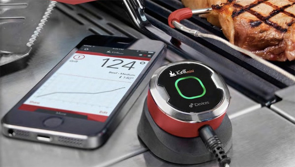 Термометр iGrill Mini