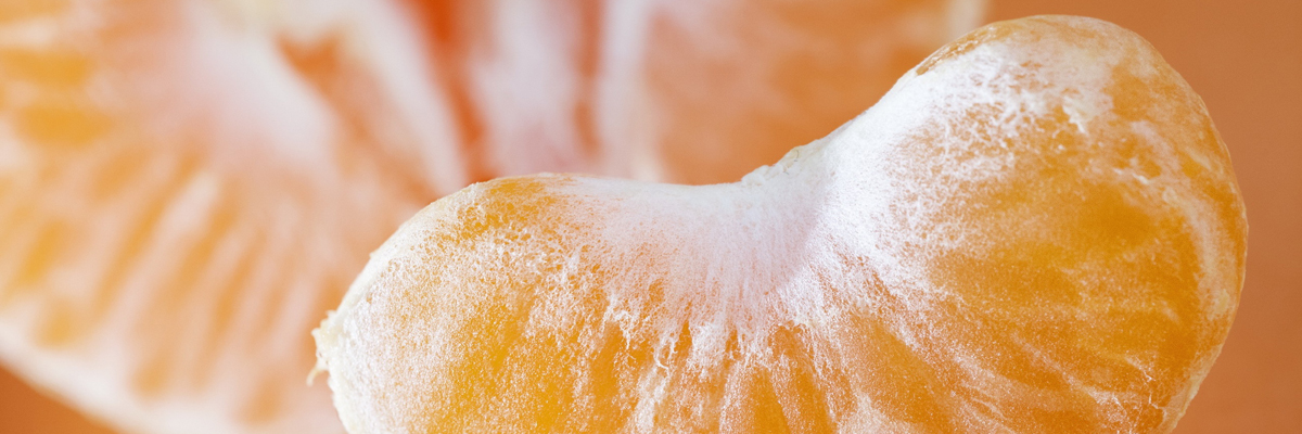 5 главных продуктов января