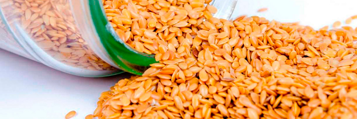 9 суперполезных продуктов на каждый день