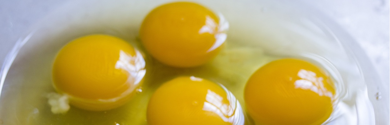 7 разных видов яиц, которые гораздо вкуснее и полезнее куриных