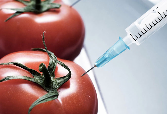 Вредные ингредиенты в составе привычных продуктов