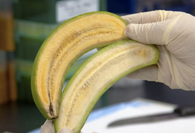 Оранжевый банан даст витамины миллионам людей