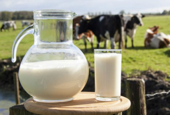 13 категорически запрещенных продуктов в США, но разрешенных во всем мире