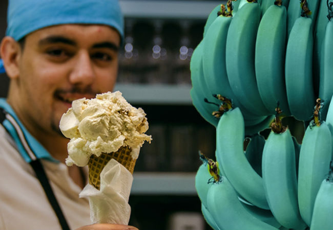 Голубые бананы: на вкус как мороженое