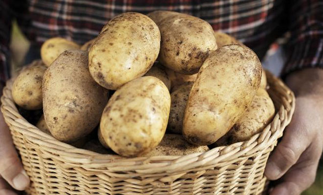 7 продуктов накапливающие внутри настоящие яды