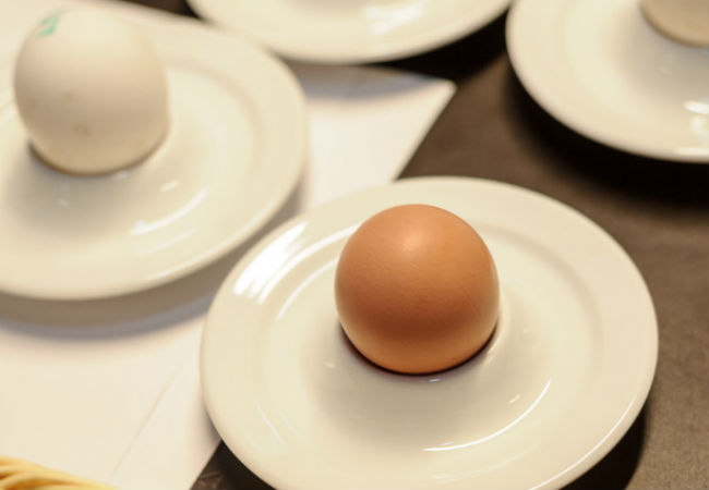 Желтые и белые яйца: какие полезнее