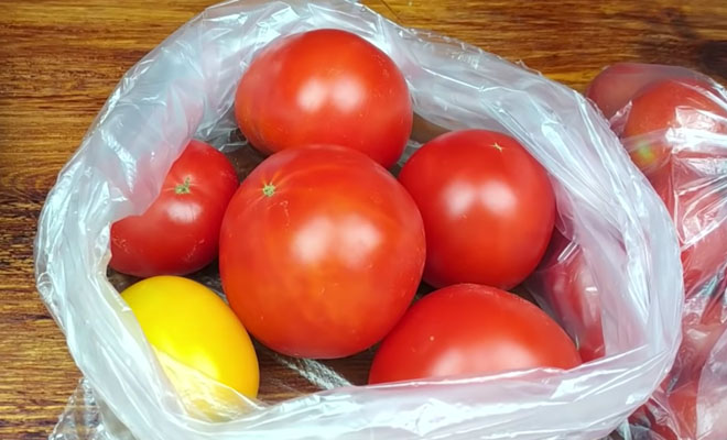 Летние помидоры хранятся всю зиму: кладем в пакет и замораживаем
