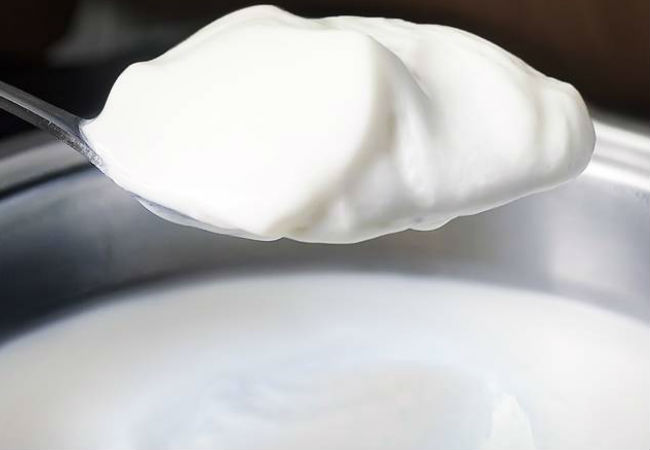 Домашний йогурт без сахара и добавок: 15 литров на литре закваски