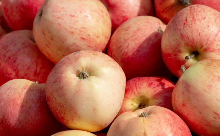 Самые полезные продукты сентября: яблоки, тыкву и цветную капусту едим пока они свежие