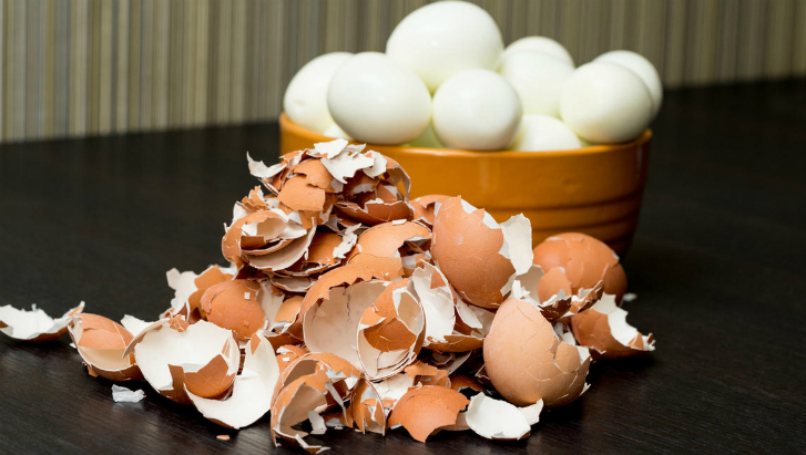 Скорлупу яиц не выбрасываем, а измельчаем и посыпаем на грядки. Овощи будут расти быстрее