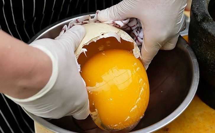 Жарим яичницу из самого большого яйца в мире. Оно размером со сковороду: видео