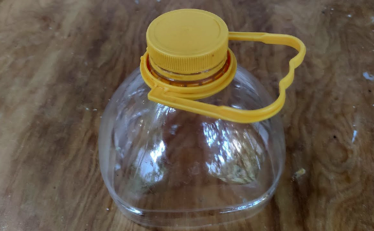 Превращаем обычную пластиковую бутылку в контейнер для хранения зелени: петрушка не сохнет неделями