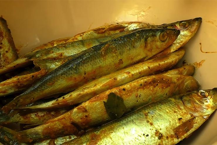 Солим салаку прямо в морозилке: пряная, без капли воды и уксуса