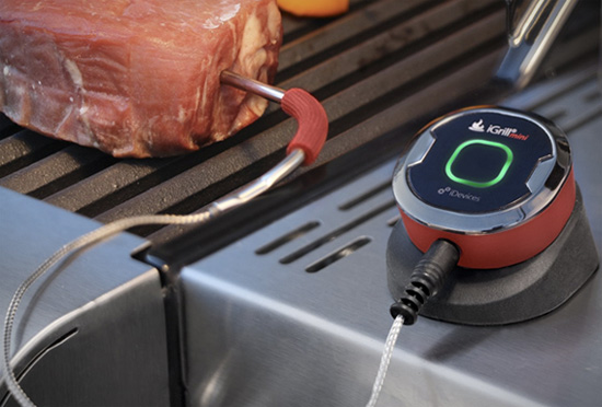Термометр iGrill Mini