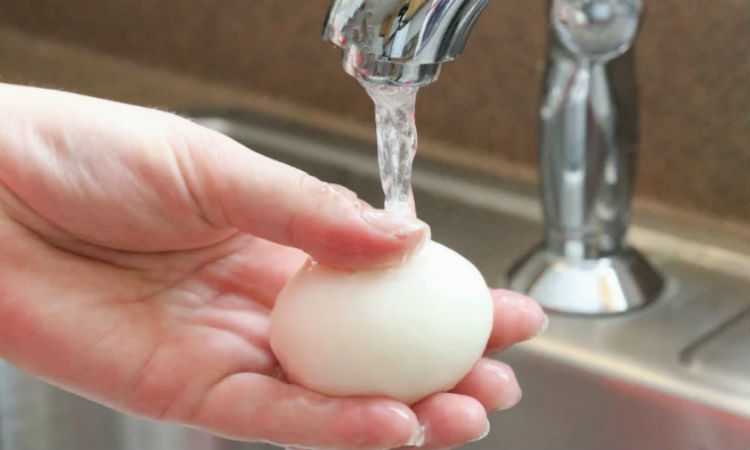 Можно ли мыть домашние яйца перед хранением. Мытье яиц. Мытье куриных яиц. Помыть яйца. Мойка яиц.