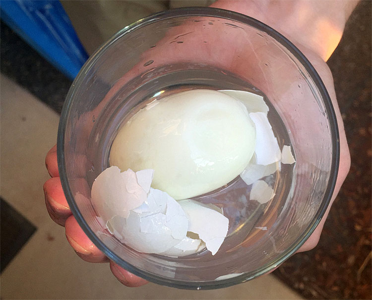 Чистим яйцо стаканом за 10 секунд: просто трясем, и скорлупа отпадает сама