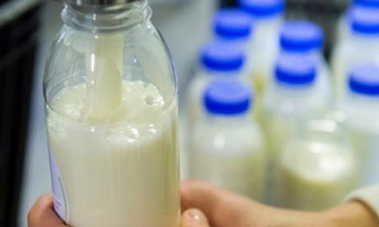 Фермерский способ отличать натуральное молоко от пальмового: смотрим на цвет