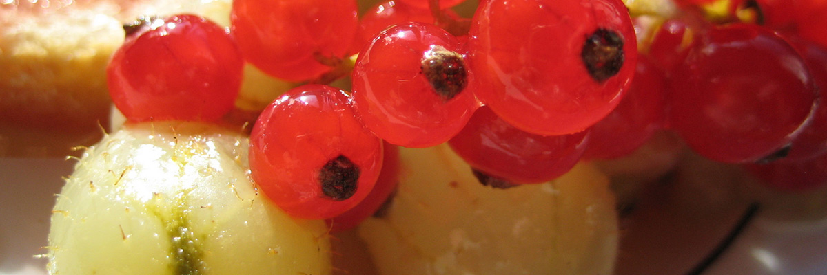 17 самых полезных ягод для нашего здоровья